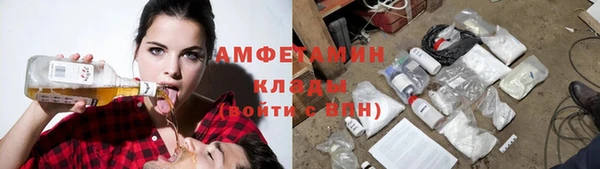 сатива Абинск