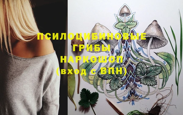 сатива Абинск