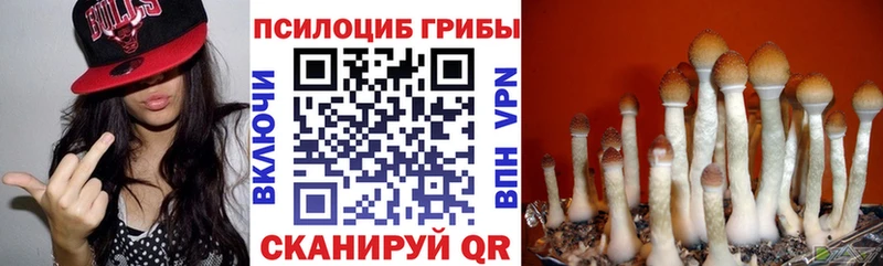 что такое KRAKEN ТОР Галлюциногенные грибы мухоморы Каменногорск